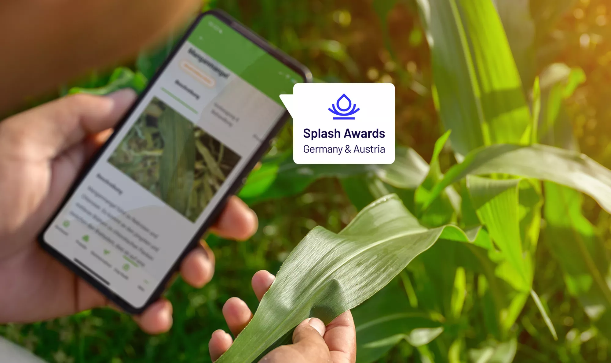 Szenenbild der App mit dem Logo der Splash Awards 2023